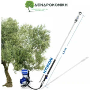 Ελαιοραβδιστικό